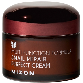 Snail Repair Perfect Cream ( problematická pleť ) - Pleťový krém s filtrátem hlemýždího sekretu 60%